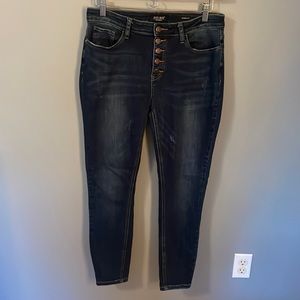 Judy Blue Button-Fly Skinny Jeans 11/30